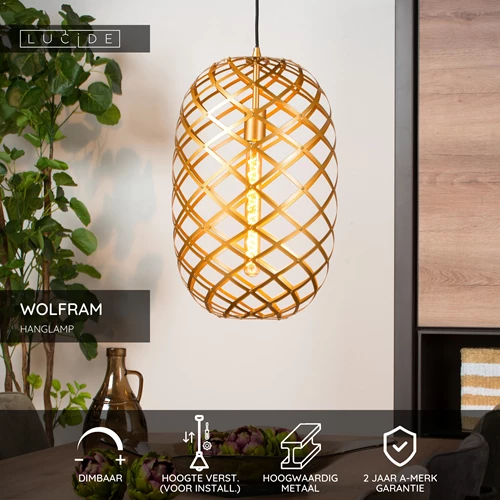 Lucide WOLFRAM - Hanglamp - Ø 32 cm - 1xE27 - Mat Goud / Messing - USP